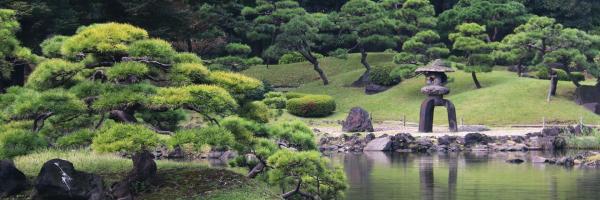 Image for event: An Introduction to the Japanese Garden