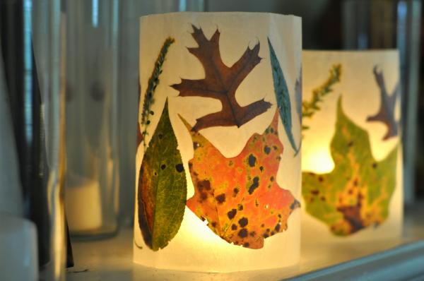 Image for event: Leaf Lanterns