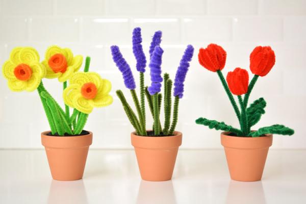 Image for event: Pipe Cleaner Flower Pots