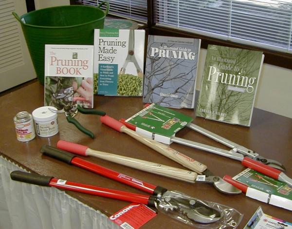 Image for event: All About Pruning 
